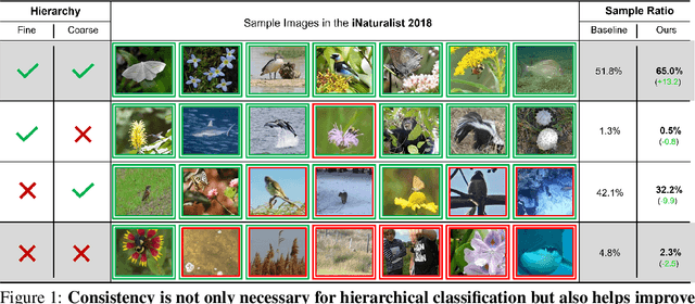Figure 1 for Learning Hierarchical Semantic Classification by Grounding on Consistent Image Segmentations