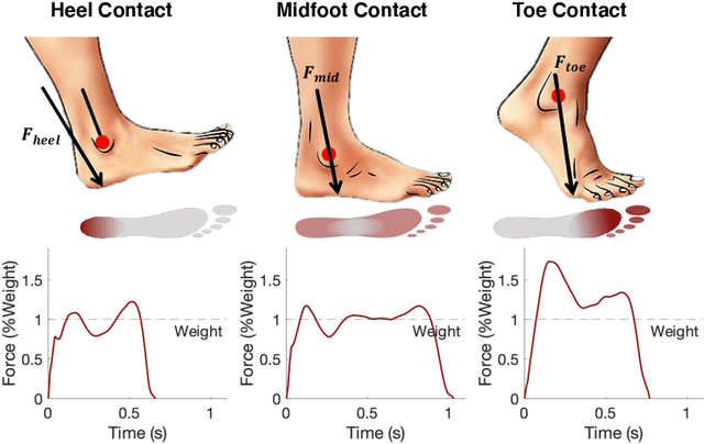 Figure 1 for Detecting Gait Abnormalities in Foot-Floor Contacts During Walking Through FootstepInduced Structural Vibrations
