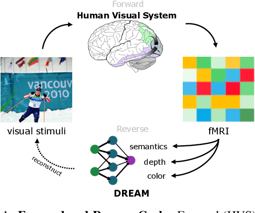 Figure 1 for DREAM: Visual Decoding from Reversing Human Visual System
