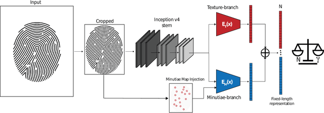 Figure 1 for Benchmarking fixed-length Fingerprint Representations across different Embedding Sizes and Sensor Types