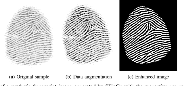 Figure 3 for Benchmarking fixed-length Fingerprint Representations across different Embedding Sizes and Sensor Types