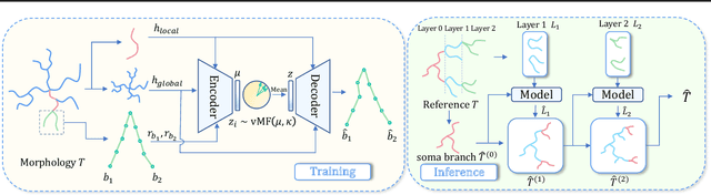 Figure 3 for A Synchronized Layer-by-layer Growing Approach for Plausible Neuronal Morphology Generation