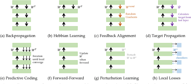 Figure 1 for Towards Biologically Plausible Computing: A Comprehensive Comparison