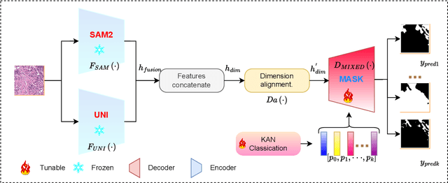 Figure 1 for SAM2-PATH: A better segment anything model for semantic segmentation in digital pathology