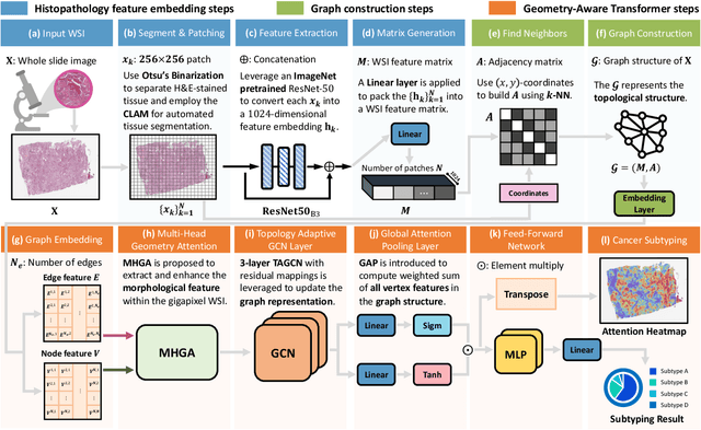 Figure 1 for Unleashing the Infinity Power of Geometry: A Novel Geometry-Aware Transformer  for Whole Slide Histopathology Image Analysis