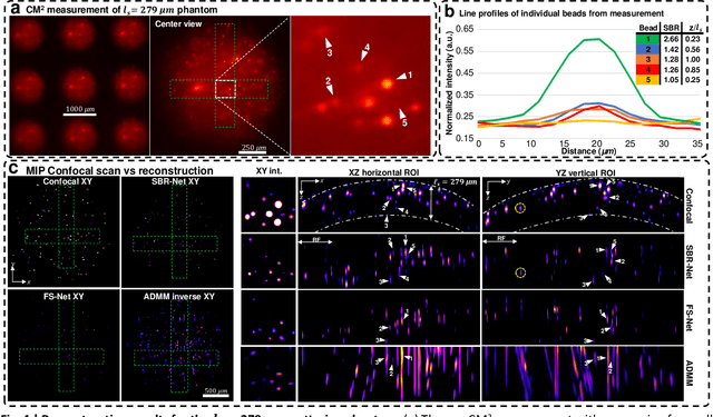 Figure 4 for Robust single-shot 3D fluorescence imaging in scattering media with a simulator-trained neural network