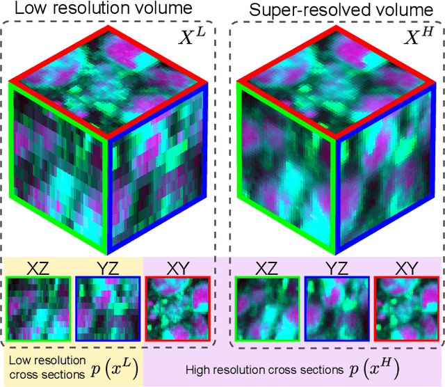 Figure 1 for Super-resolution of biomedical volumes with 2D supervision