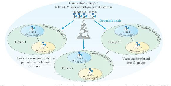 Figure 1 for RSMA for Dual-Polarized Massive MIMO Networks: A SIC-Free Approach