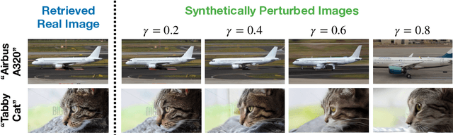 Figure 4 for The Unmet Promise of Synthetic Training Images: Using Retrieved Real Images Performs Better