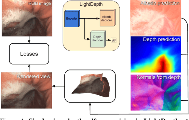 Figure 1 for LightDepth: Single-View Depth Self-Supervision from Illumination Decline