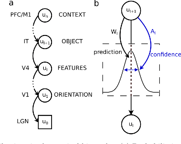Figure 1 for Precision estimation and second-order prediction errors in cortical circuits