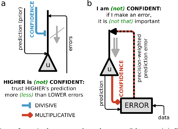 Figure 2 for Precision estimation and second-order prediction errors in cortical circuits