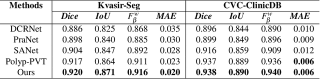 Figure 2 for Adaptation of Distinct Semantics for Uncertain Areas in Polyp Segmentation