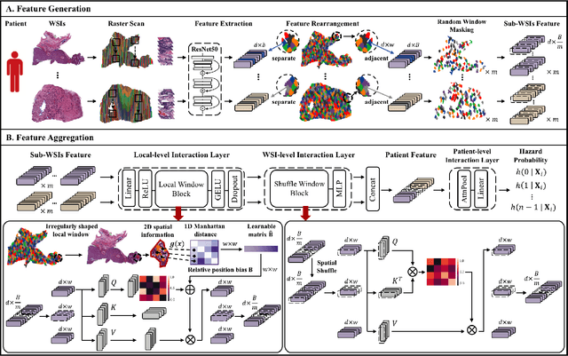 Figure 3 for HVTSurv: Hierarchical Vision Transformer for Patient-Level Survival Prediction from Whole Slide Image