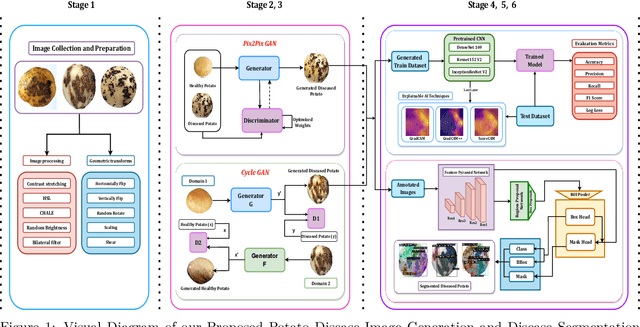 Figure 2 for PotatoGANs: Utilizing Generative Adversarial Networks, Instance Segmentation, and Explainable AI for Enhanced Potato Disease Identification and Classification