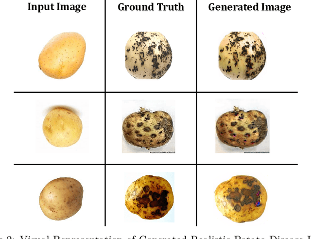 Figure 4 for PotatoGANs: Utilizing Generative Adversarial Networks, Instance Segmentation, and Explainable AI for Enhanced Potato Disease Identification and Classification