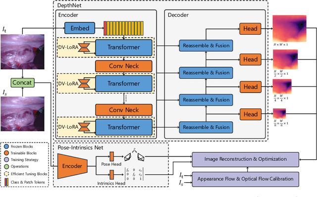 Figure 1 for EndoDAC: Efficient Adapting Foundation Model for Self-Supervised Depth Estimation from Any Endoscopic Camera