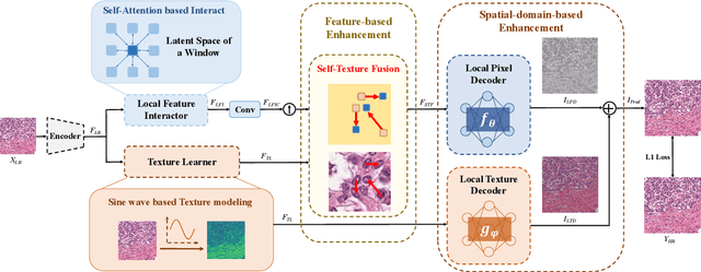 Figure 3 for Towards Arbitrary-Scale Histopathology Image Super-resolution: An Efficient Dual-branch Framework via Implicit Self-texture Enhancement