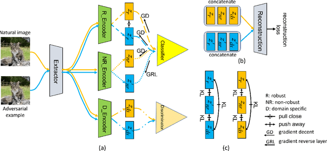 Figure 2 for Exploring Robust Features for Improving Adversarial Robustness