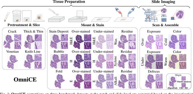 Figure 1 for Assessing and Enhancing Robustness of Deep Learning Models with Corruption Emulation in Digital Pathology