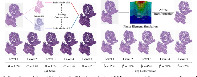 Figure 2 for Assessing and Enhancing Robustness of Deep Learning Models with Corruption Emulation in Digital Pathology