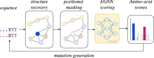 Figure 2 for Predicting protein variants with equivariant graph neural networks