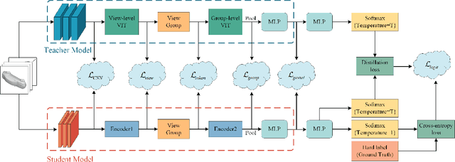 Figure 2 for Group Multi-View Transformer for 3D Shape Analysis with Spatial Encoding