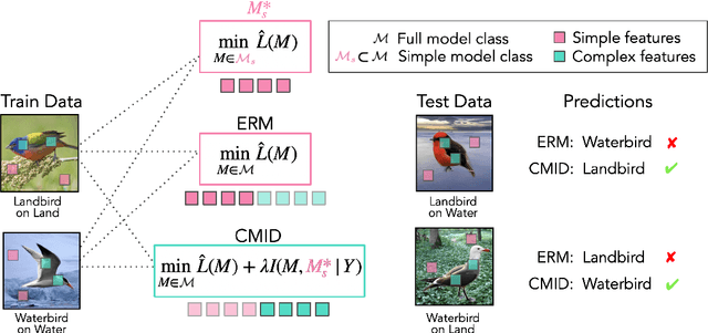 Figure 2 for Mitigating Simplicity Bias in Deep Learning for Improved OOD Generalization and Robustness