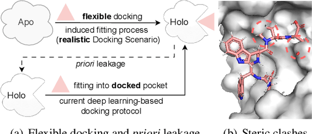 Figure 1 for Re-Dock: Towards Flexible and Realistic Molecular Docking with Diffusion Bridge