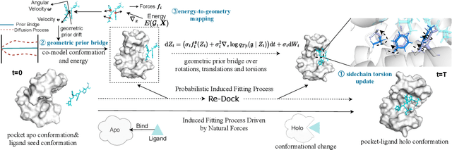 Figure 3 for Re-Dock: Towards Flexible and Realistic Molecular Docking with Diffusion Bridge