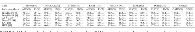 Figure 2 for Predicting Genetic Mutation from Whole Slide Images via Biomedical-Linguistic Knowledge Enhanced Multi-label Classification