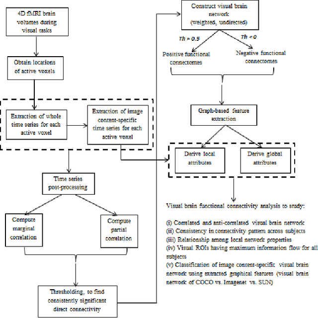 Figure 1 for Towards understanding the nature of direct functional connectivity in visual brain network