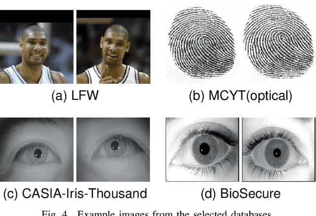 Figure 4 for Privacy-preserving Multi-biometric Indexing based on Frequent Binary Patterns