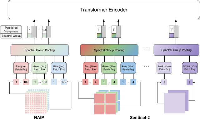 Figure 1 for USat: A Unified Self-Supervised Encoder for Multi-Sensor Satellite Imagery