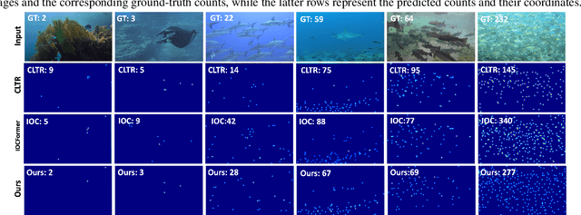 Figure 4 for A Density-Guided Temporal Attention Transformer for Indiscernible Object Counting in Underwater Video