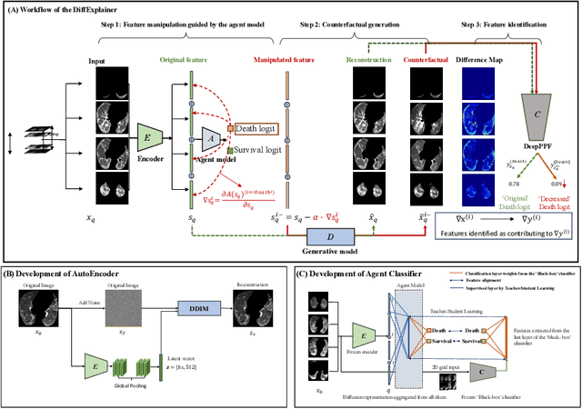 Figure 1 for DiffExplainer: Unveiling Black Box Models Via Counterfactual Generation