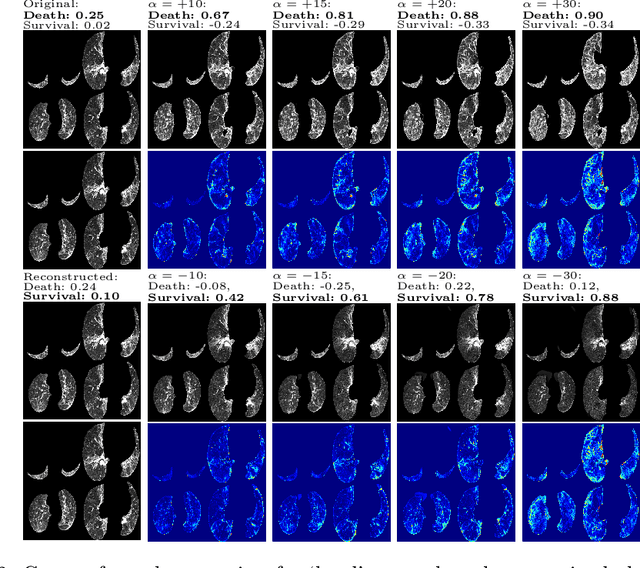 Figure 3 for DiffExplainer: Unveiling Black Box Models Via Counterfactual Generation