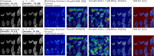 Figure 4 for DiffExplainer: Unveiling Black Box Models Via Counterfactual Generation