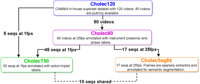 Figure 2 for CholecInstanceSeg: A Tool Instance Segmentation Dataset for Laparoscopic Surgery