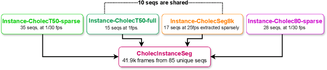 Figure 3 for CholecInstanceSeg: A Tool Instance Segmentation Dataset for Laparoscopic Surgery