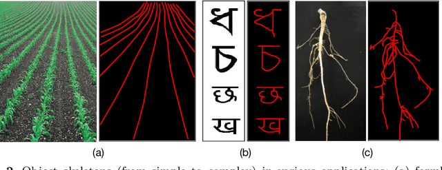 Figure 3 for Skeleton Ground Truth Extraction: Methodology, Annotation Tool and Benchmarks