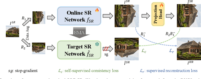 Figure 1 for Exploiting Self-Supervised Constraints in Image Super-Resolution