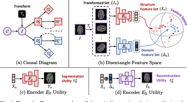 Figure 1 for Domain Game: Disentangle Anatomical Feature for Single Domain Generalized Segmentation