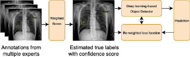 Figure 1 for Improving Object Detection in Medical Image Analysis through Multiple Expert Annotators: An Empirical Investigation