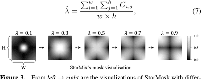 Figure 4 for StarLKNet: Star Mixup with Large Kernel Networks for Palm Vein Identification