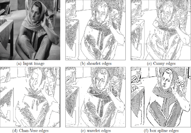 Figure 1 for Local Clustering for Lung Cancer Image Classification via Sparse Solution Technique