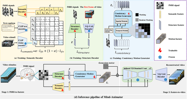 Figure 3 for Animate Your Thoughts: Decoupled Reconstruction of Dynamic Natural Vision from Slow Brain Activity