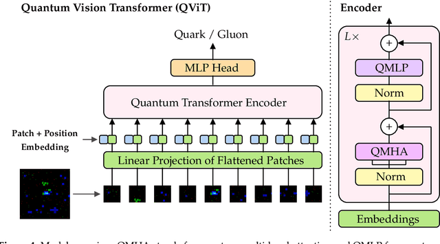 Figure 4 for Quantum Vision Transformers for Quark-Gluon Classification