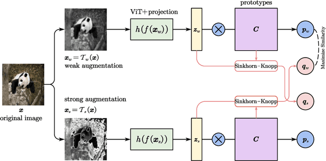 Figure 3 for Generalized Category Discovery with Clustering Assignment Consistency