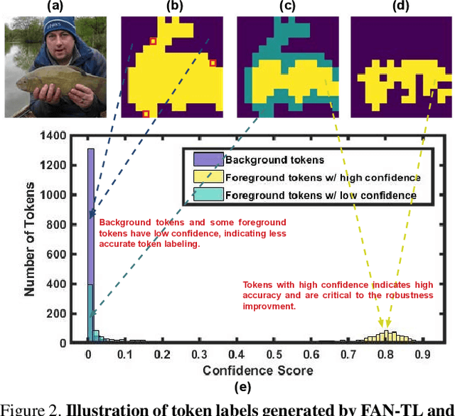 Figure 3 for Fully Attentional Networks with Self-emerging Token Labeling